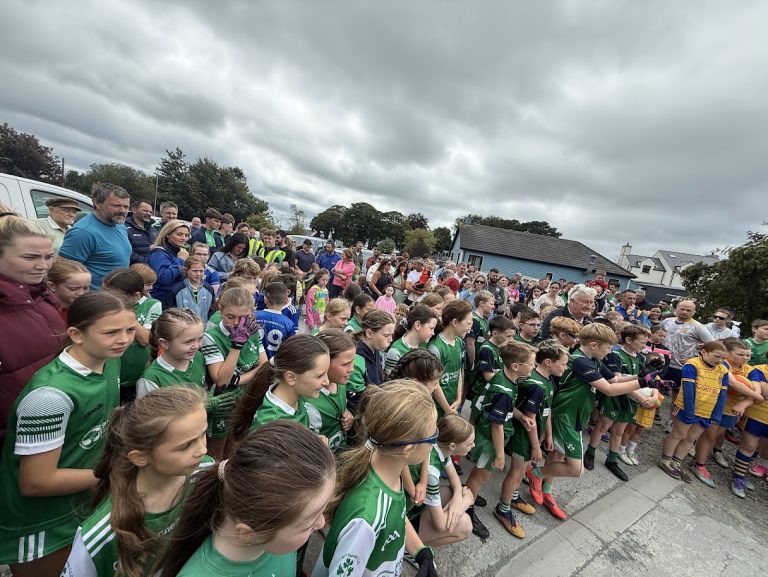 Páirc Adrian Reopening Tournment & 5K Run